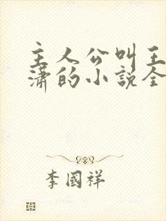 主人公叫王东唐潇的小说全文免费阅读笔趣阁