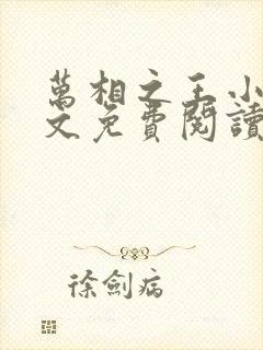 万相之王小说全文免费阅读无弹窗