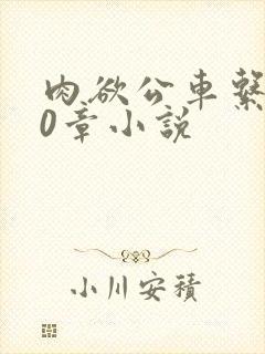 肉欲公车系500章小说