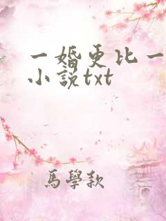一婚更比一婚高小说txt