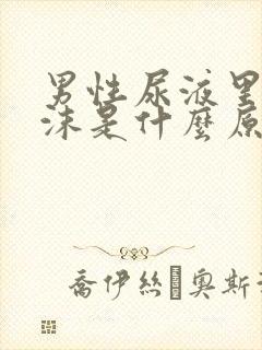 男性尿液里有泡沫是什么原因