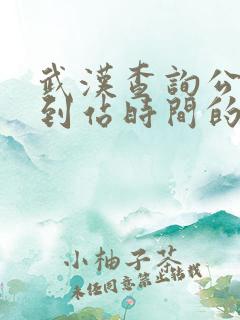 武汉查询公交车到站时间的软件