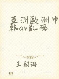 亚洲欧洲中文日韩av乱码