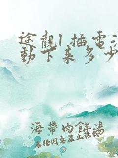 途观l 插电混动下来多少钱