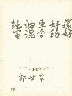 纯油车好还是油电混合的好