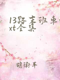 13路末班车txt全集