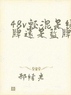 48v轻混是绿牌还是蓝牌