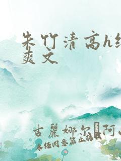 朱竹清高h纯肉爽文