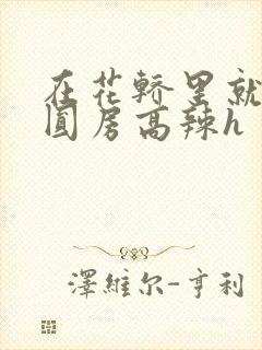 在花轿里就开始圆房高辣h