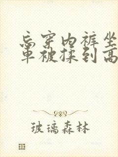 忘穿内裤坐公交车被揉到高潮