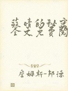 苏晴的秘密小说全文免费阅读