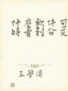 什么软件可以实时看到公交车位置