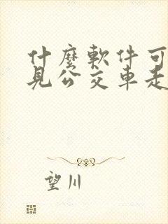 什么软件可以看见公交车走到哪里了