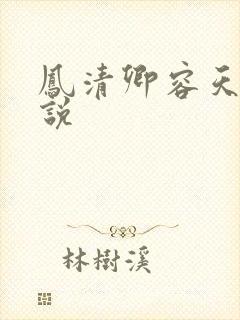 凤清卿容天凌小说