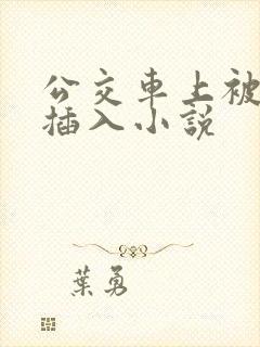 公交车上被强行插入小说