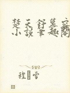 楚天舒慕容江月小说笔趣阁