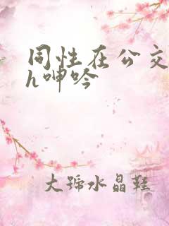 同性在公交车上h呻吟