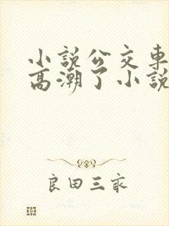 小说公交车被上高潮了小说