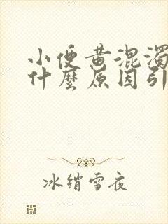 小便黄混浊男性什么原因引起的