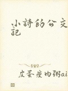 小诗的公交车日记