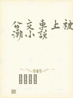 公交车上被弄高潮小说