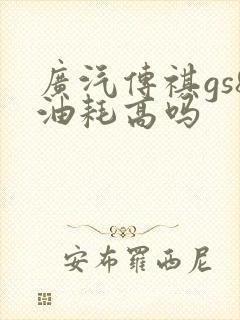 广汽传祺gs8油耗高吗