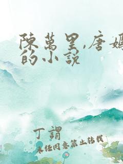 陈万里,唐嫣然的小说