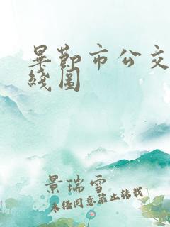 毕节市公交车路线图
