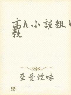 高h小说粗口调教