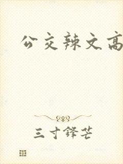 公交辣文高h
