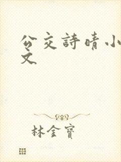 公交诗晴小说原文