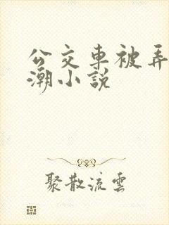 公交车被弄到高潮小说