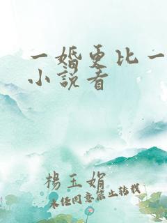 一婚更比一婚高小说看