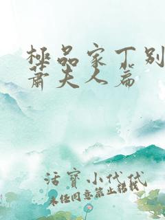 极品家丁别传—萧夫人篇