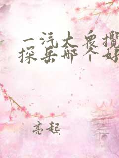 一汽大众揽巡和探岳哪个好