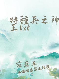 特种兵之神级兵王txt