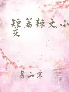 短篇辣文小说公交