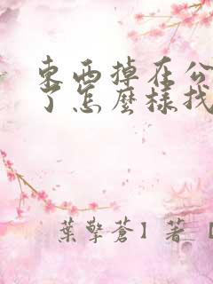东西掉在公交车了怎么样找回