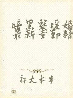 暗黑系暖婚小说最新章节精校版
