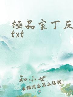 极品家丁反绿帽txt