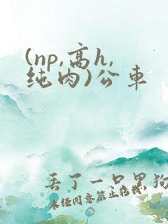 (np,高h,纯肉)公车