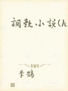 调教小说(h)