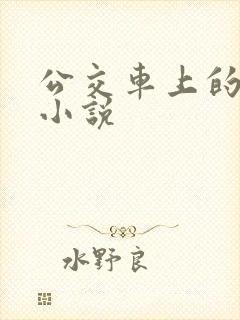 公交车上的艳情小说