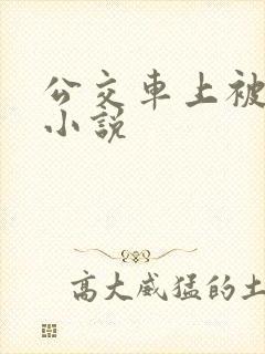 公交车上被轮的小说