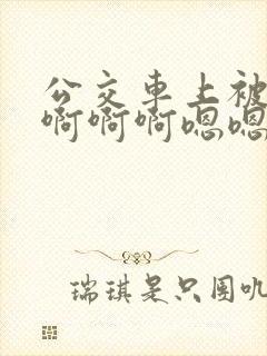 公交车上被嗯嗯啊啊啊嗯嗯小说