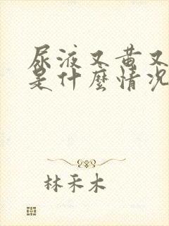 尿液又黄又浑浊是什么情况