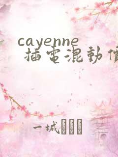 cayenne 插电混动价格多少