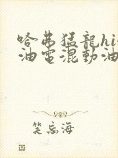哈弗猛龙hi4油电混动油耗