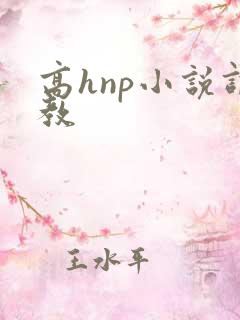 高hnp小说调教