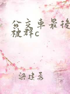公交车最后一排被群c